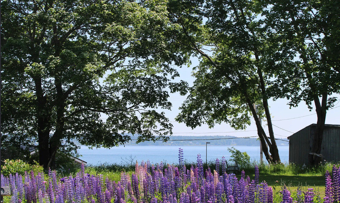 So pretty! Fully furnished. Circa 1830 in Maine. $450,000