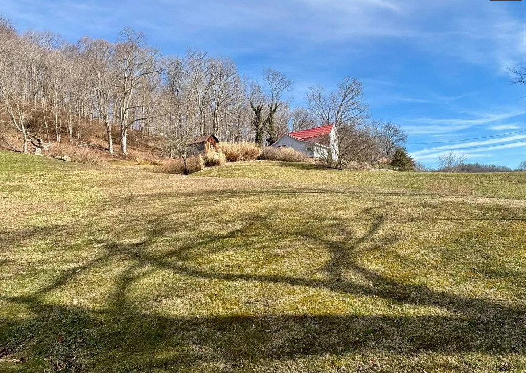 Pretty setting! Loads of potential! Over eight acres in West Virginia. $159,000