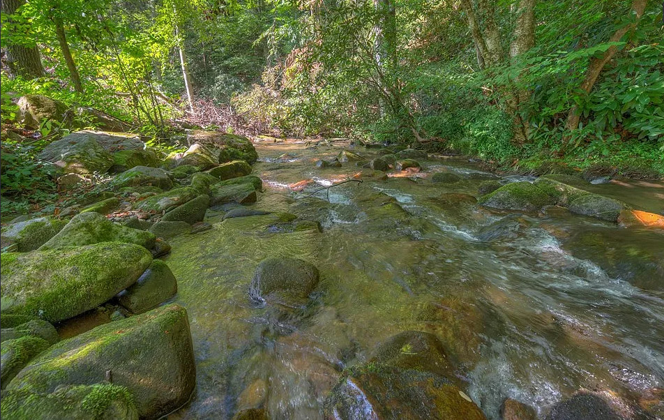 Stocked trout stream! Over seven acres in North Carolina. $185,000