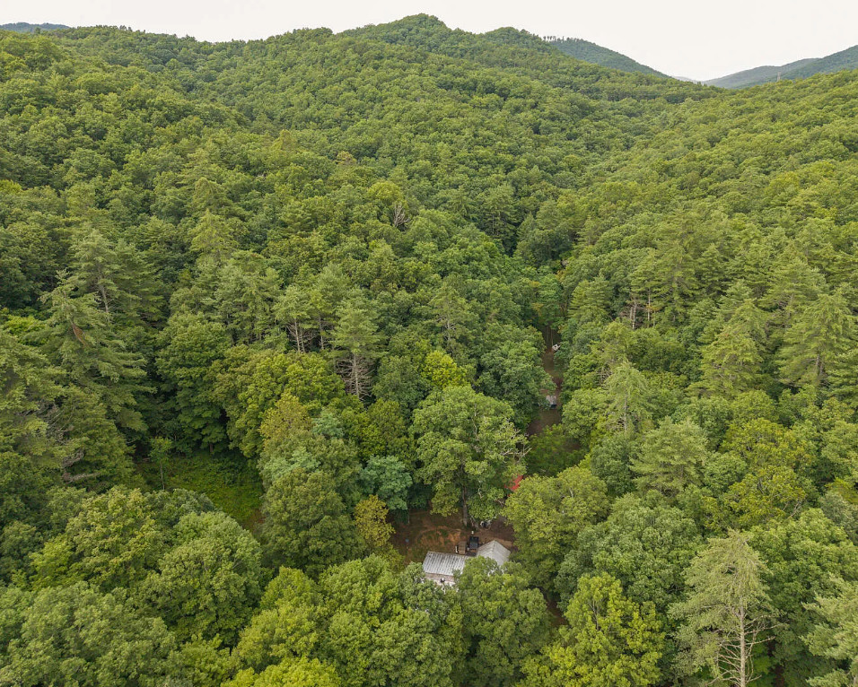 Quaint! On 19 acres in the Virginia mountains. $375,000