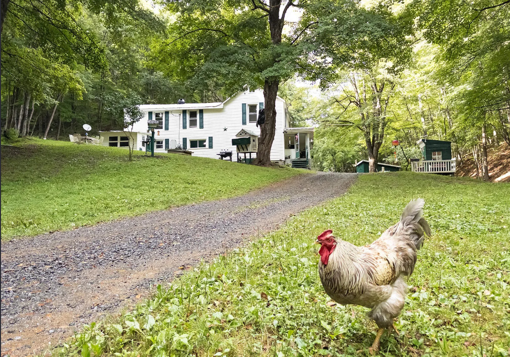 Quaint! On 19 acres in the Virginia mountains. $375,000
