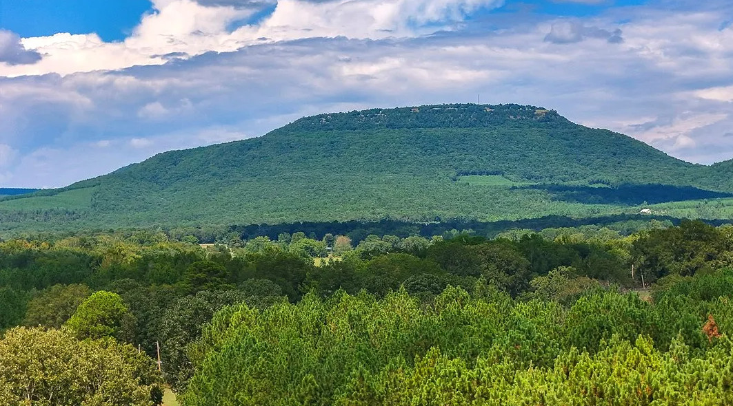 Pretty setting! Almost six acres in Arkansas. Has a stocked pond. $271,360
