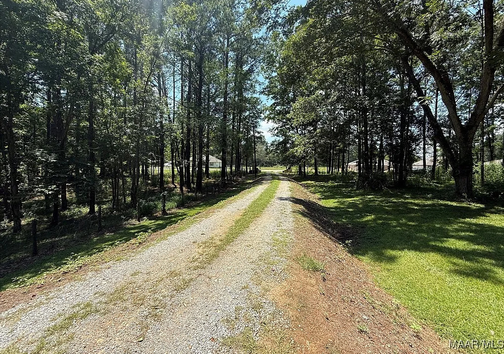 Pretty setting! On 20 acres in Alabama. Has a pond! $279,000