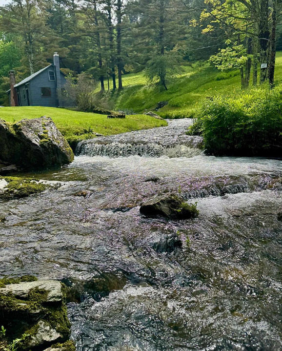 That setting! That interior! Nine acres in Vermont. $269,500