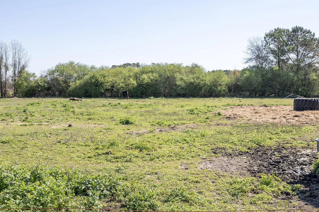 Diamond in the Rough! Circa 1936. Over an acre in North Carolina. $125,000