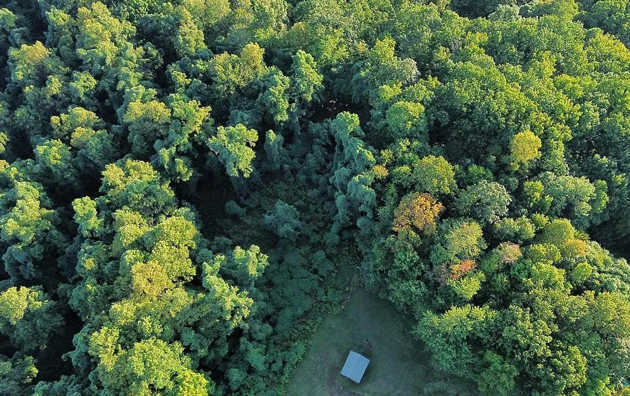 27 acres in Virginia. Circa 1939. $129,900