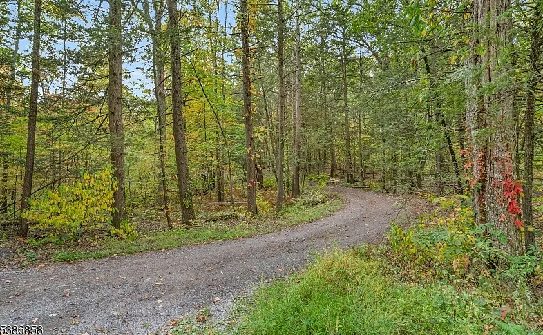 Storybook cottage in the woods! Almost five acres in New Jersey. $299,000