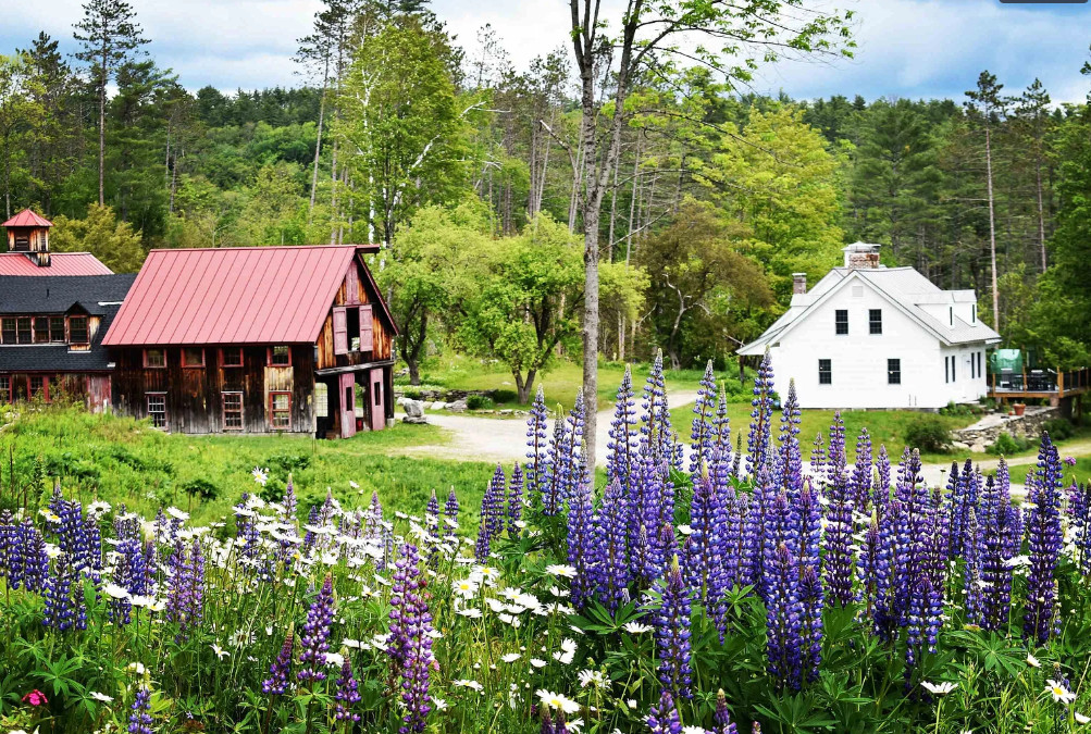 Picture Perfect Vermont Property! Huge Barn, Guesthouse, 211 Acres