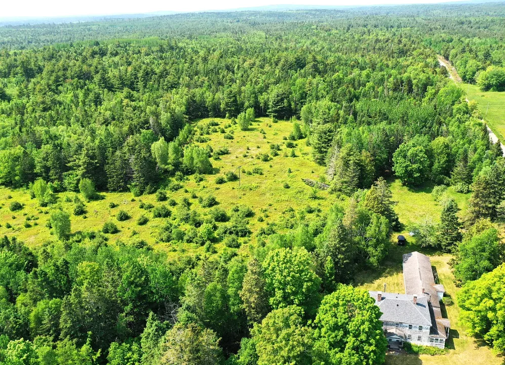 Circa 1776! Apple trees and five acres of wild blueberries! 15 acres in Maine. $279,000