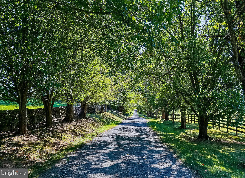 Wow! Virginia\'s most expensive old house listing! Bollingbrook, C. 1809