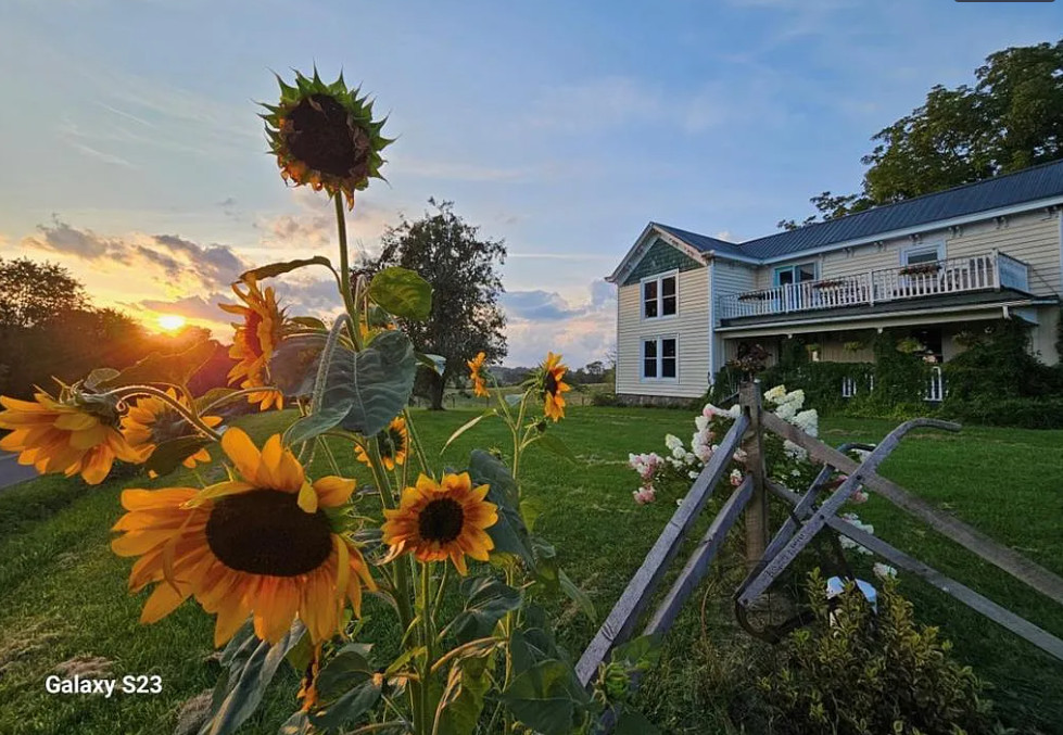 Pretty setting in a beautiful area! Five acres in Virginia