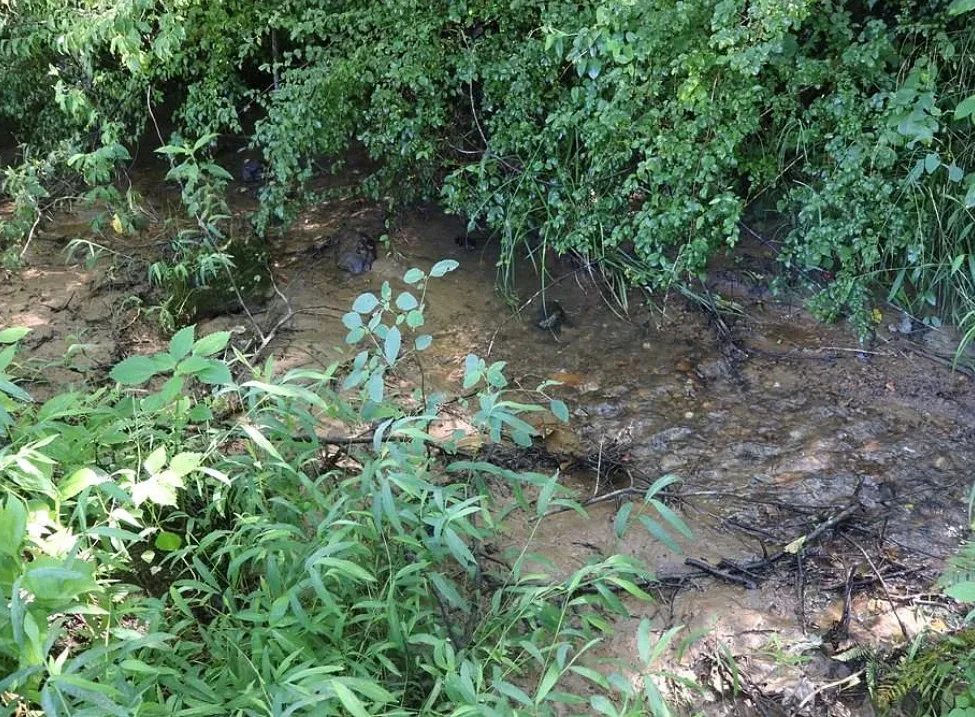 Real pretty area! C. 1920. Almost three acres in Virginia. $125,900