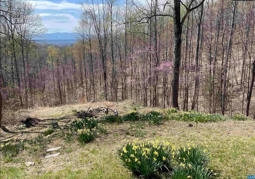 Perfection! Amazing setting! C. 1838. On 96 acres in Virginia. $649,000