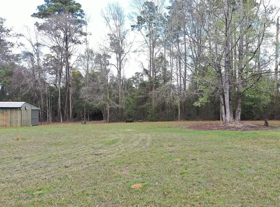 Nice outdoor fireplace! Citrus trees on the property. On 20 acres in Louisiana. $425,000