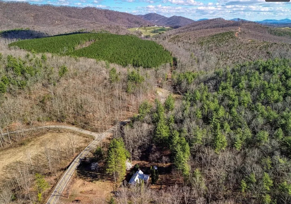 Pretty setting! Almost 15 acres in Virginia. Old country store on the property. $229,900