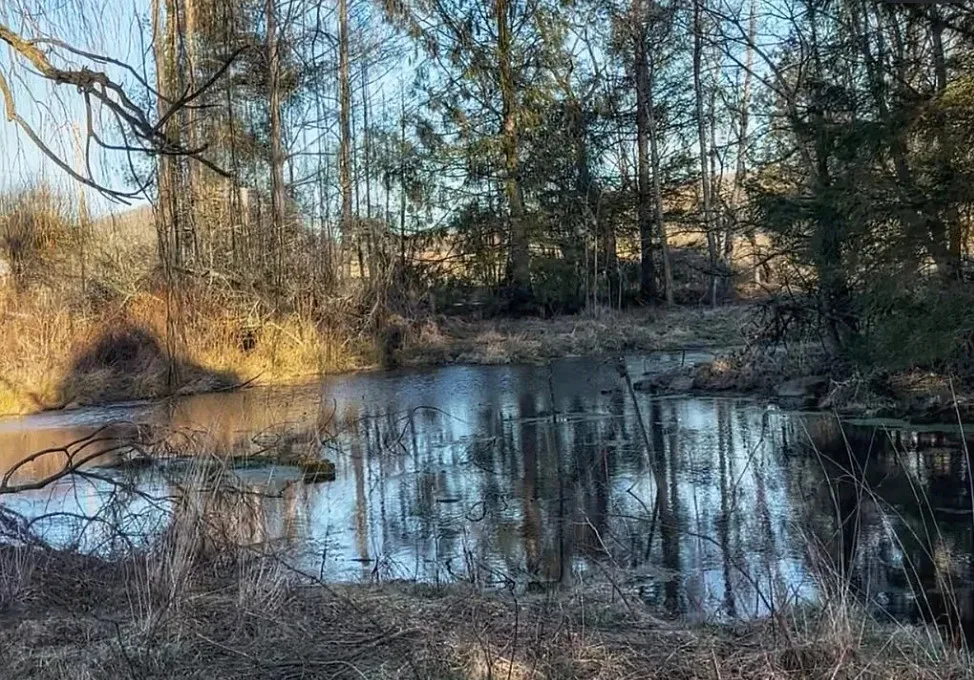 Pretty setting and view! C. 1881. Over two acres in Virginia. $180,000