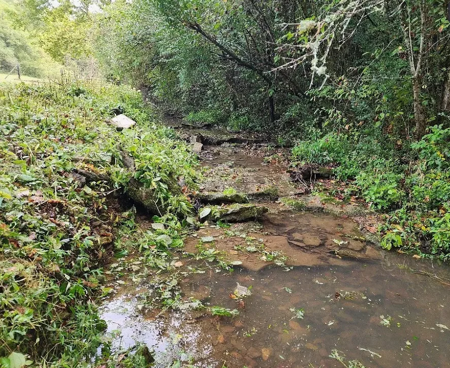 Has a creek! Pretty setting! Almost ten acres in Tennessee