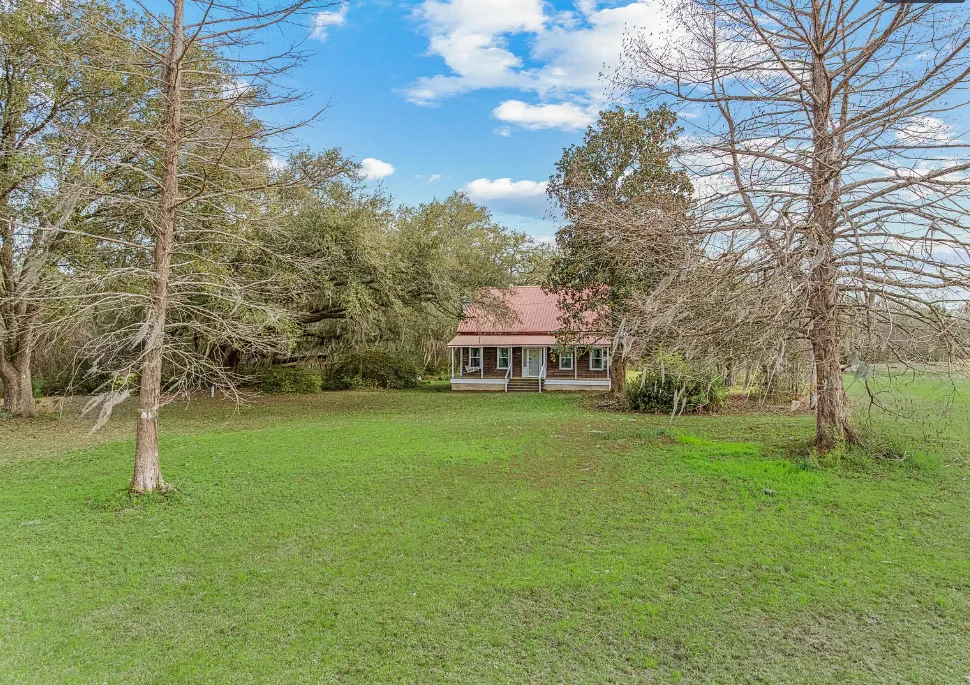 The trees are beautiful! Over six acres in South Carolina