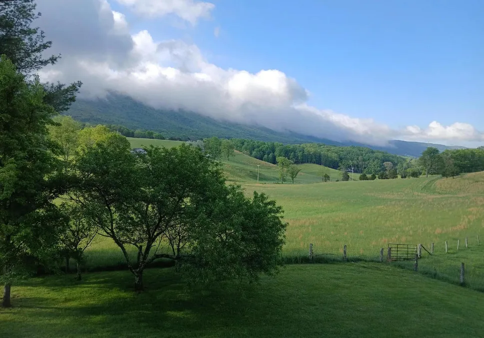 The view! Move in ready house! Circa 1890 in Virginia.