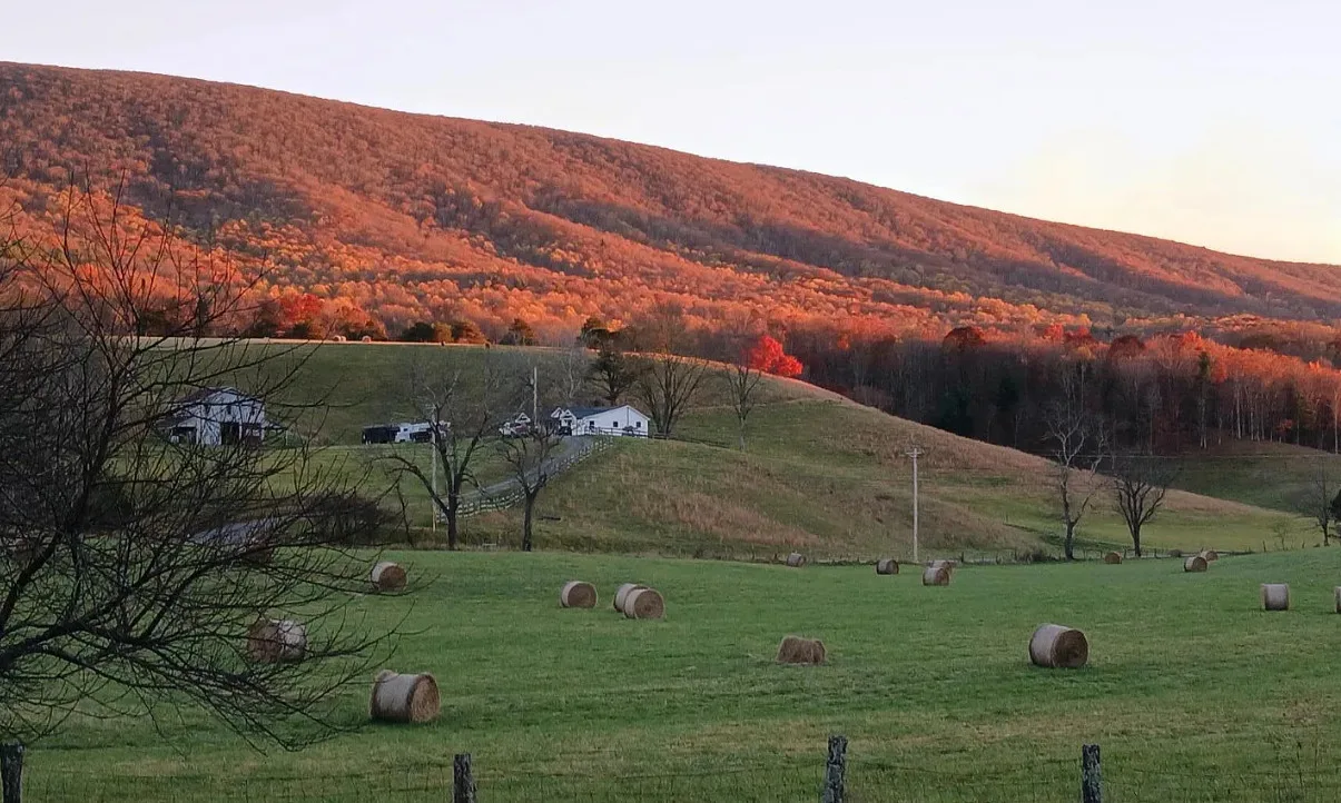 The view! Move in ready house! Circa 1890 in Virginia. $345,000