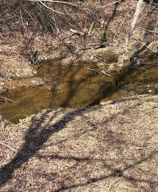 Nice pond! Seven acres in North Carolina. Circa 1939. $399,900