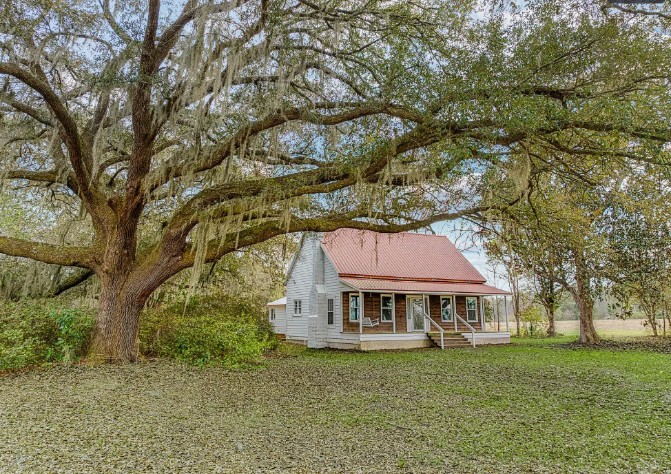 That tree is special! Circa 1900. Over six acres in South Carolina.