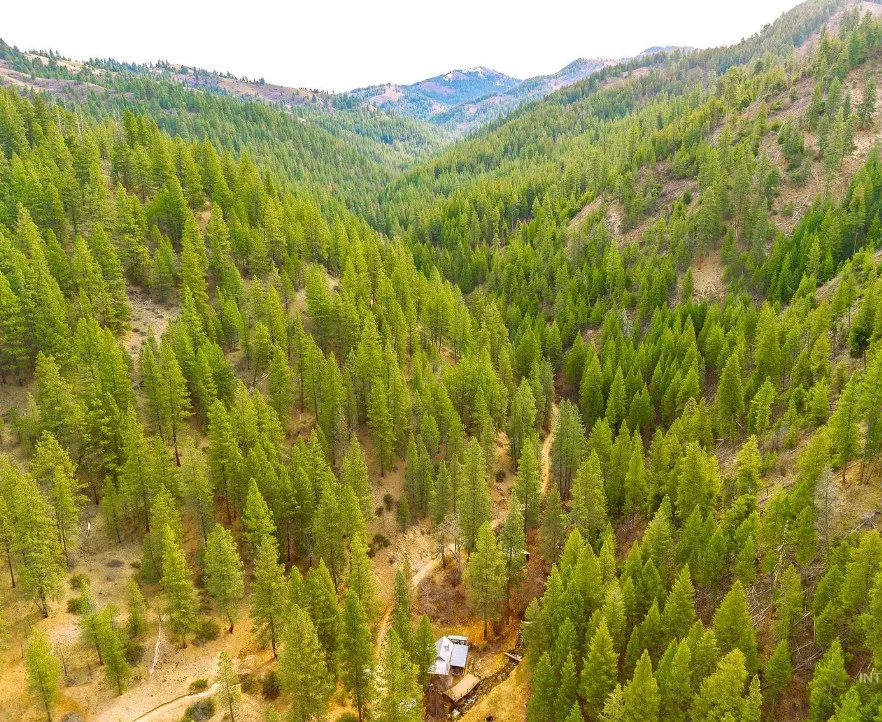 Pretty creek side setting! Circa 1950 in Idaho.