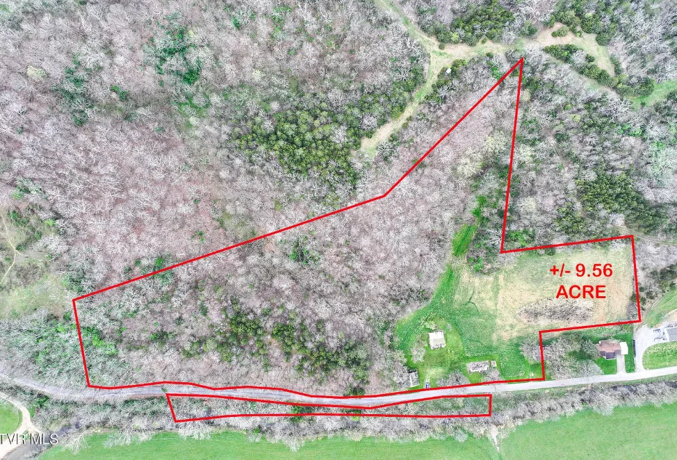 Pretty creek! Almost ten acres in Tennessee.