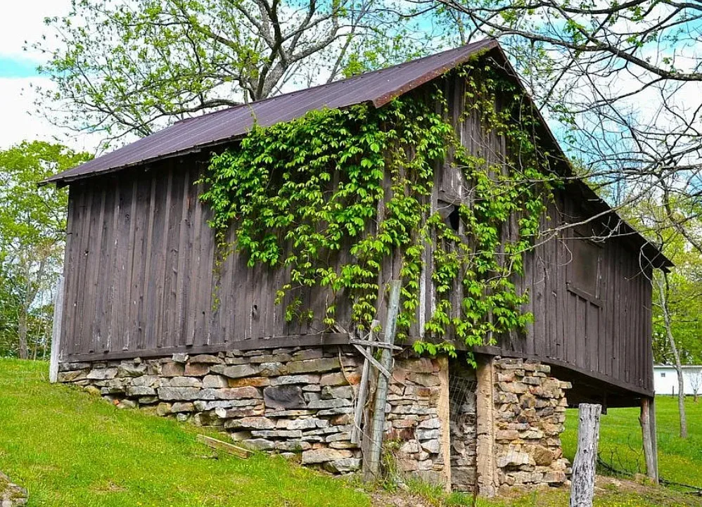 Rustic Retreat! Over seven acres in West Virginia.