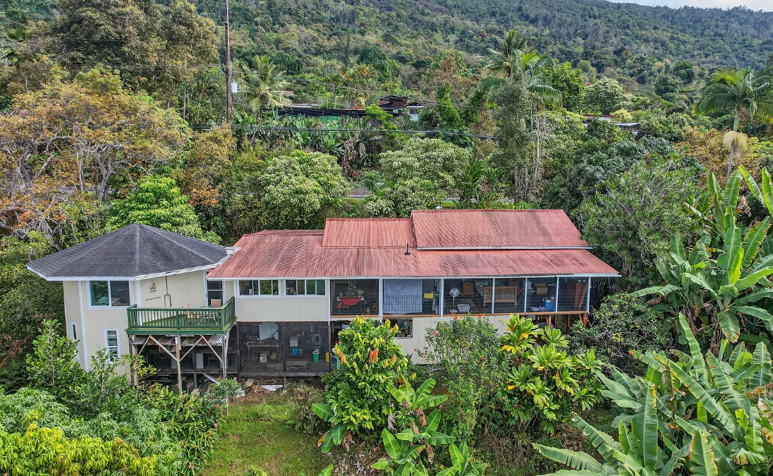 Hawaii time! Successful coffee and macadamia nut farm. C. 1929.