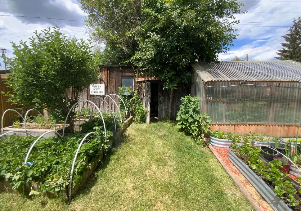 Love this yard! Circa 1913 in Idaho.