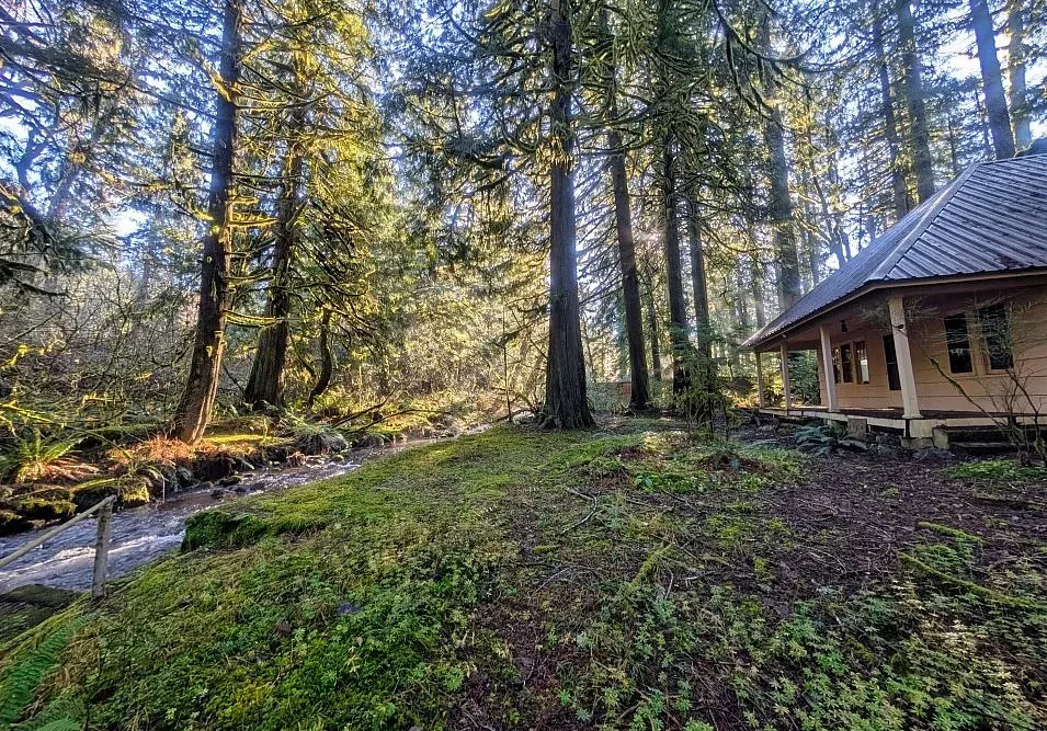 Cottage in the woods! Circa 1945 in Oregon. $450,000