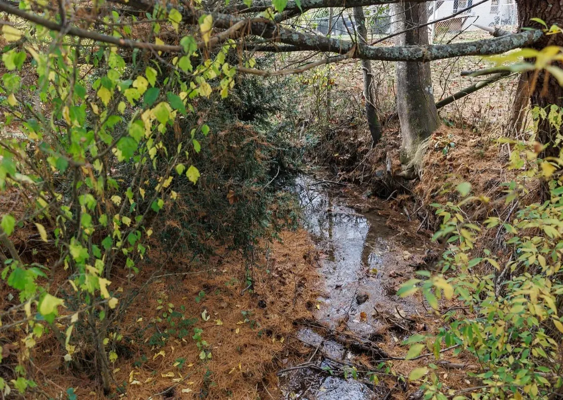 Diamond in the Rough! Sweet Water Springs, on one acre in Virginia