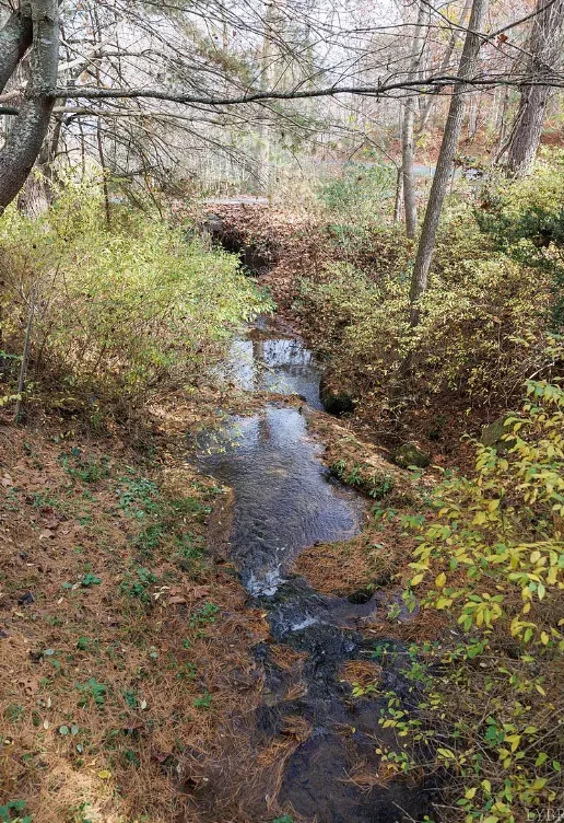 Diamond in the Rough! Sweet Water Springs, on one acre in Virginia