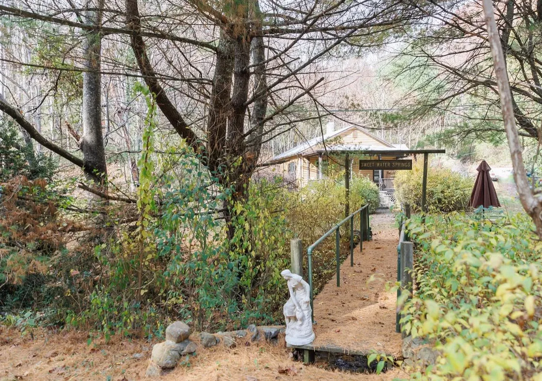 Diamond in the Rough! Sweet Water Springs, on one acre in Virginia