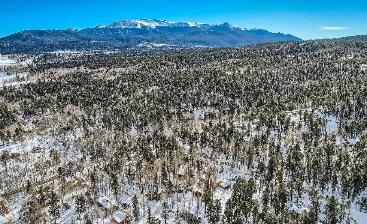 Pretty setting! Cute interior! On 1 1/2 acres in Colorado. $399,999